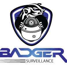 Badger CCTV